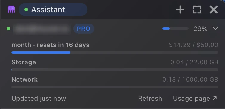 The sidebar's account card, open: a Pro plan at 29% of its monthly spend with a reset in 16 days, storage and network meters, and Refresh and Usage page buttons. The email is blurred